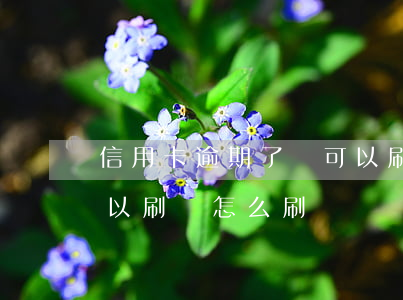 信用卡逾期了還可以刷嗎(信用卡逾期了還可以刷嗎怎么刷)