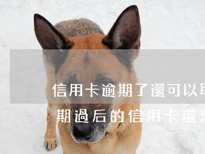 信用卡逾期了還可以取現(xiàn)嗎(逾期過后的信用卡還清后還可以使用么)