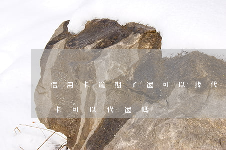 信用卡逾期了還可以找代償嗎-逾期的信用卡可以代還嗎