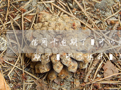 信用卡逾期了還可以提升額度嗎-信用卡逾期了還可以提升額度嗎知乎