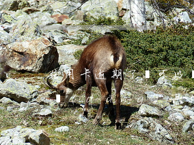 信用卡逾期了還可以當(dāng)兵嗎(去當(dāng)兵信用卡可以延后嗎?)