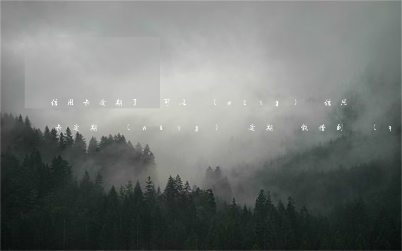 信用卡逾期了還可以網(wǎng)貸(信用卡逾期網(wǎng)貸逾期還能借到錢(qián)嗎)