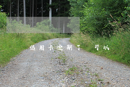 信用卡逾期了還可以繼續(xù)還嗎