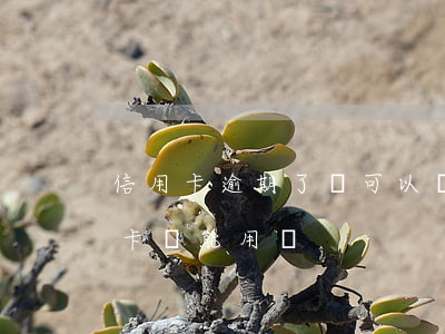 信用卡逾期了還可以貨款嗎(逾期還款的信用卡還能用嗎)