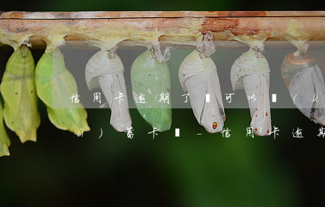 信用卡逾期了還可以開(kāi)儲(chǔ)蓄卡嗎-信用卡逾期了還可以開(kāi)儲(chǔ)蓄卡嗎