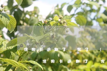 信用卡逾期了還完了會(huì)影響征信嗎-信用卡逾期了還完了會(huì)影響征信嗎怎么辦