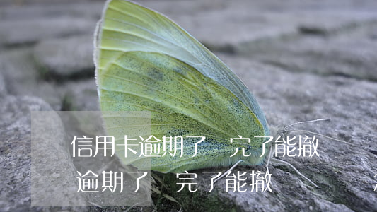 信用卡逾期了還完了能撤銷記錄嗎-信用卡逾期了還完了能撤銷記錄嗎怎么辦