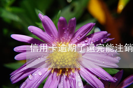 信用卡逾期了還完能注銷嗎