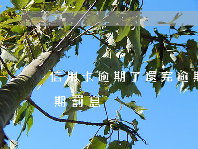信用卡逾期了還完逾期還有罰息嗎(信用卡 逾期 罰息)