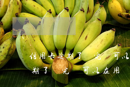 信用卡逾期了還完還可以在用嗎-信用卡逾期了還完還可以在用嗎