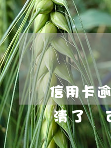 信用卡逾期了還完還可以貸款嗎(有逾期但還清了還可以辦信用卡嗎)