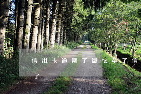 信用卡逾期了還懷孕了(信用卡逾期了還懷孕了)