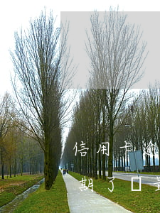 信用卡逾期了還最低還款可以嗎-信用卡逾期了還最低還款可以嗎?