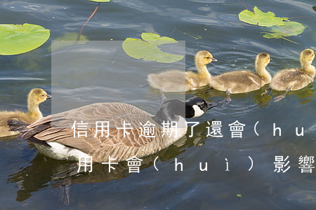 信用卡逾期了還會(huì)找工作嗎(欠信用卡會(huì)影響找工作嗎)