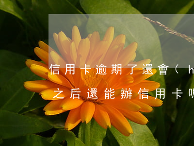 信用卡逾期了還會(huì)被開通嗎(逾期之后還能辦信用卡嗎)
