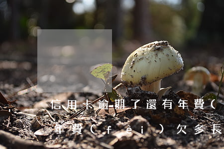信用卡逾期了還有年費(fèi)嗎(信用卡年費(fèi)欠多長(zhǎng)時(shí)間算逾期)