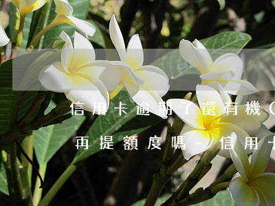 信用卡逾期了還有機(jī)會(huì)再提額度嗎-信用卡逾期了還有機(jī)會(huì)再提額度嗎知乎