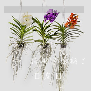 信用卡逾期了還有額度嗎(信用卡逾期了還有額度嗎?)