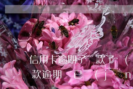 信用卡逾期了還款了會(huì)怎么樣(貸款逾期過,已經(jīng)還清了多久可以信用卡)