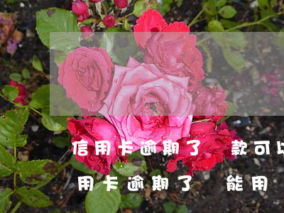 信用卡逾期了還款可以不用利息嗎 為什么信用卡逾期了還能用