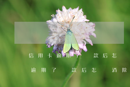 信用卡逾期了還款后怎樣消除逾期-信用卡逾期了還款后怎樣消除逾期記錄