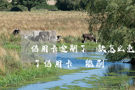 信用卡逾期了還款怎么免費(fèi)(逾期了信用卡還能刷嗎)