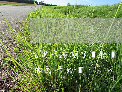 信用卡逾期了還款會(huì)被鎖定嗎(用信用卡的時(shí)候顯示被鎖定要怎么辦)