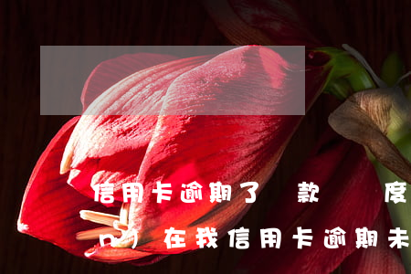 信用卡逾期了還款沒額度怎么辦 現(xiàn)在我信用卡逾期未還