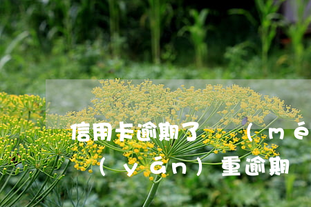 信用卡逾期了還沒(méi)還款怎么辦-嚴(yán)重逾期還清后申請(qǐng)信用卡