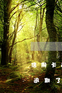 信用卡逾期了還清了還可以提額嗎-信用卡逾期了還清了還可以提額嗎