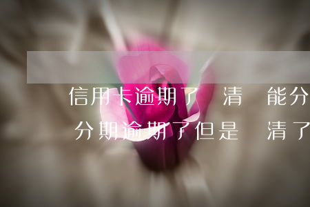 信用卡逾期了還清還能分期嗎(手機(jī)分期逾期了但是還清了可以辦信用卡嗎)