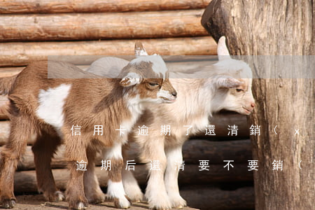 信用卡逾期了還清銷(xiāo)戶(信用卡逾期后還清要不要銷(xiāo)戶)