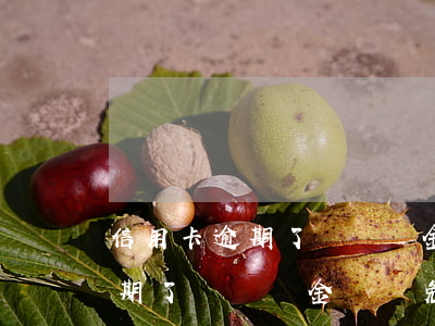 信用卡逾期了還滯納金會減免嗎嗎（信用卡逾期了還滯納金會減免嗎）