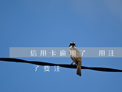 信用卡逾期了還用注銷嗎(逾期的信用卡還完了要注銷嗎)