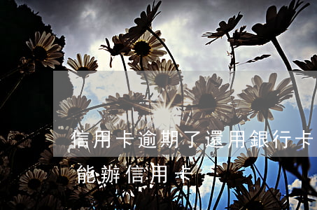信用卡逾期了還用銀行卡嗎(逾期了為什么還能辦信用卡)