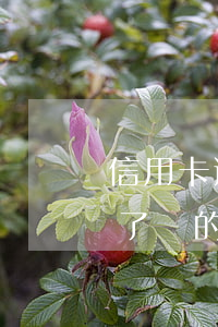 信用卡逾期了還的錢可以退回嗎(信用卡逾期了還的錢可以退回嗎)