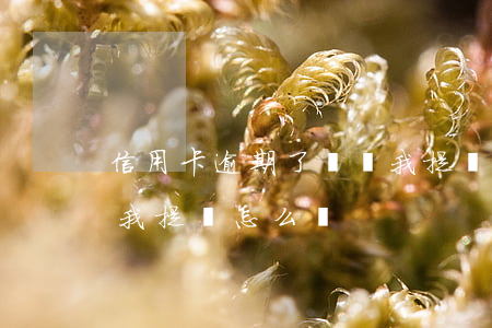 信用卡逾期了還給我提額(信用卡逾期了還給我提額怎么辦)