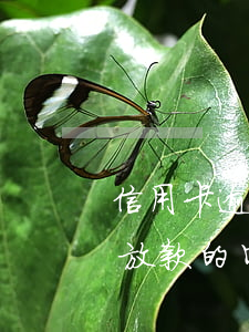 信用卡逾期了還能下款的口子(很多逾期還能放款的口子)
