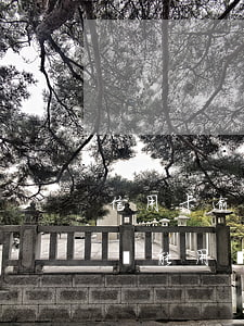 信用卡逾期了還能不能用(貸款逾期了信用卡還能用嗎)