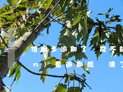 信用卡逾期了還能不能貸款(信用卡嚴(yán)重逾期后還清了以后還能不能貸款)