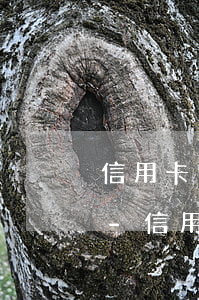 信用卡逾期了還能不能辦儲(chǔ)蓄卡-信用卡逾期了還能不能辦儲(chǔ)蓄卡了