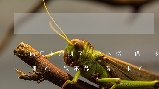 信用卡逾期了還能不能開借記卡-信用卡逾期了還能不能開借記卡了