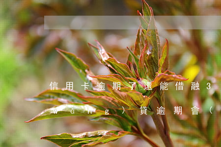 信用卡逾期了還能借融360嗎(360網(wǎng)貸逾期會(huì)不會(huì)影響信用卡的額度)