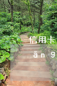 信用卡逾期了還能做的貸款(有信用卡當(dāng)前逾期可以貸款嗎)