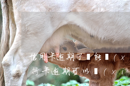 信用卡逾期了還能協(xié)商分期嗎(銀行卡逾期可以協(xié)商分期還款)