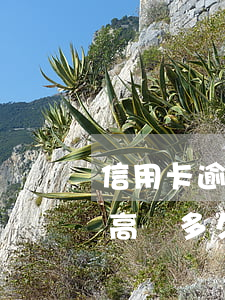 信用卡逾期了還能坐高鐵(信用卡逾期不能坐高鐵多久可以解除)
