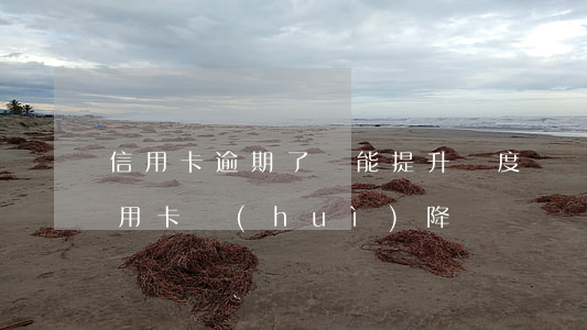 信用卡逾期了還能提升額度嗎(貸款逾期后信用卡會(huì)降額嗎)