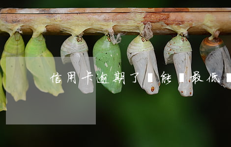 信用卡逾期了還能換最低還款嗎