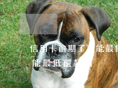 信用卡逾期了還能最低還款(信用卡逾期了還能最低還款嗎?)