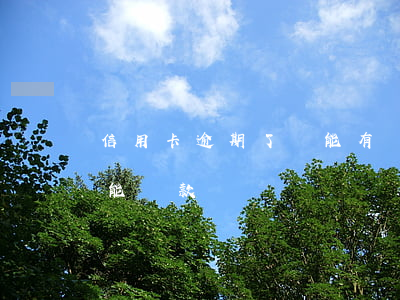 信用卡逾期了還能有額度嗎(有信用卡逾期還能貸款嗎)